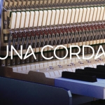 特殊立式钢琴Una Corda KONTAKT