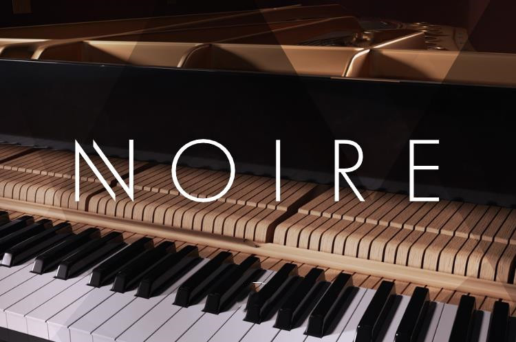 四分音三角钢琴-Native Instruments Noire KONTAKT 1.2.1