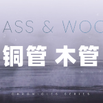 铜管和木管 Evolution Series Chronicles Brass and Wood v1.0 KONTAKT