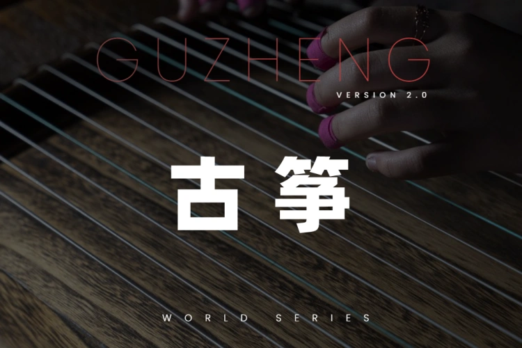古筝 Evolution Series World Strings Guzheng KONTAKT