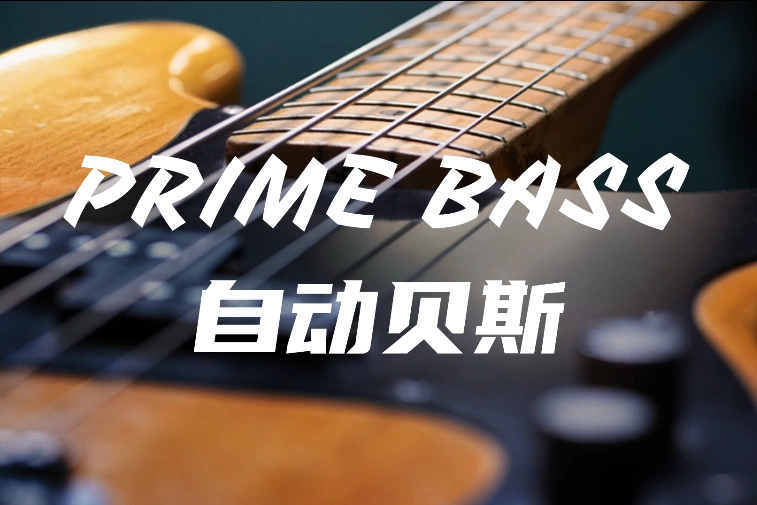 自动贝斯 Native Instruments Session Bassist Prime Bass KONTAKT 1.0.2