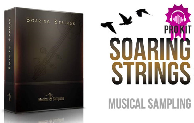 飞天弦乐 Musical Sampling Soaring Strings KONTAKT