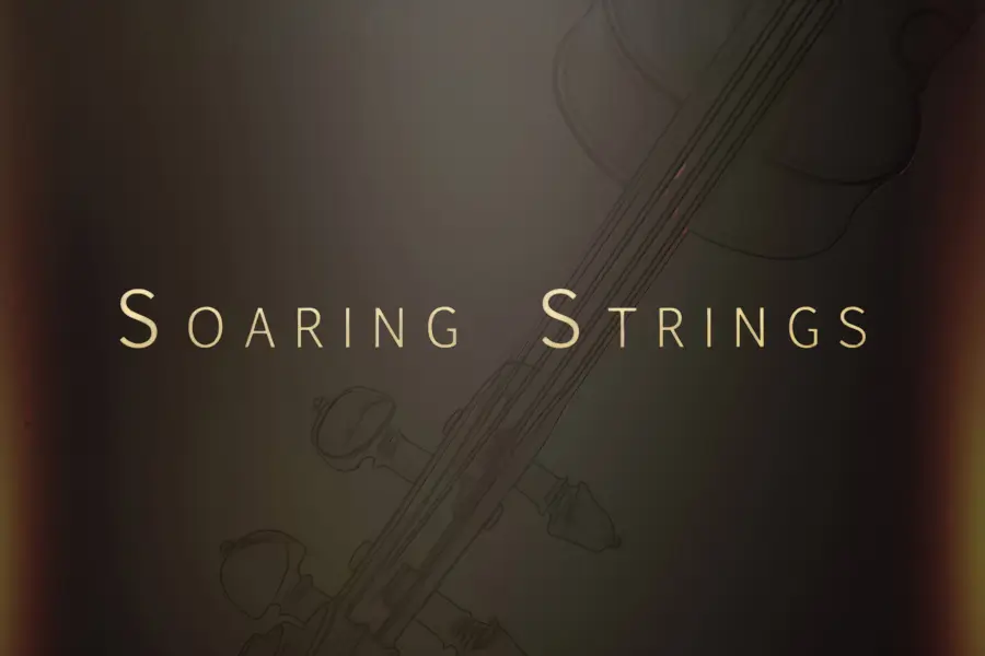 飞天弦乐 Musical Sampling Soaring Strings KONTAKT