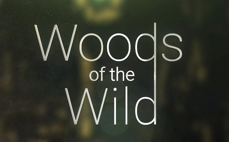 荒野之林木管 Sonuscore Woods Of The Wild KONTAKT