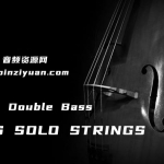 LSS低音提琴独奏 Aria London Solo Double Bass KONTAKT