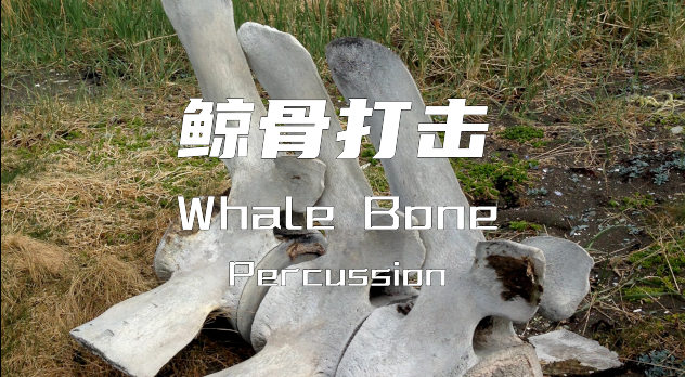 鲸骨打击 Glitchedtones x Hidden Sound Whale Bone Percussion KONTAKT