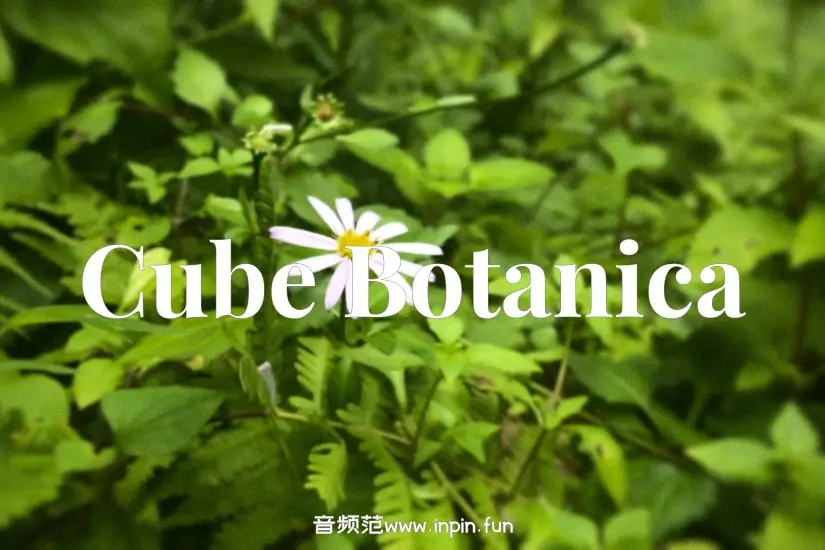 Lunacy Audio Cube Botanica Expansion
