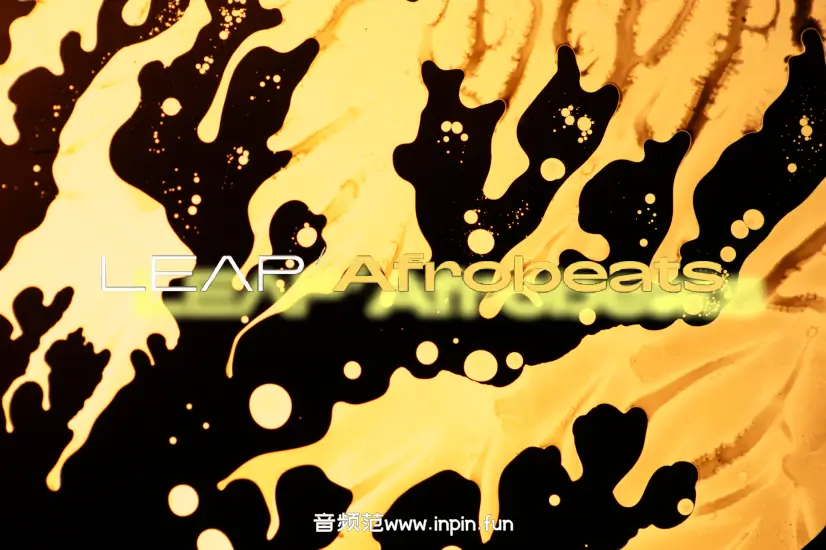 循环打击乐-Native Instruments Leap Afrobeats KONTAKT