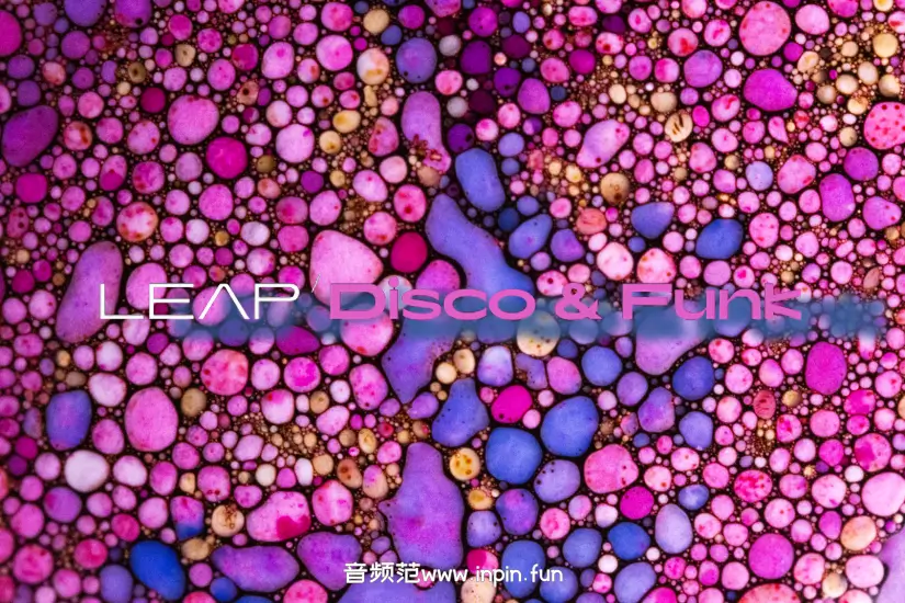 迪斯科放克音源-Native Instruments Leap Disco and Funk KONTAKT