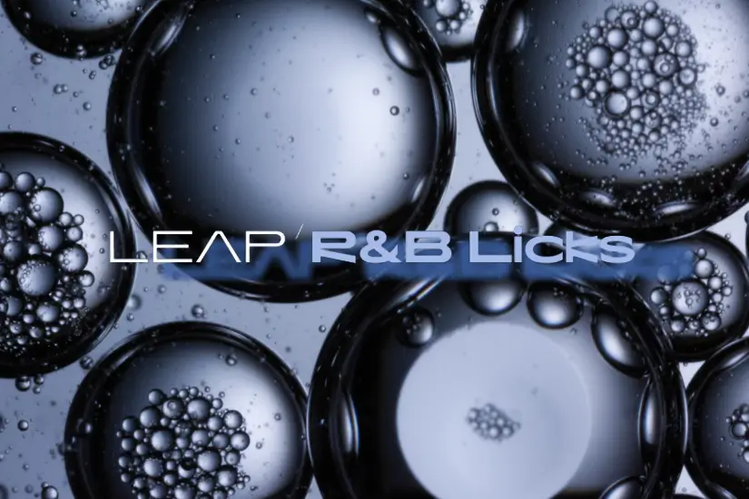 节奏蓝调R&B音源-Native Instruments Leap RnB Licks KONTAKT