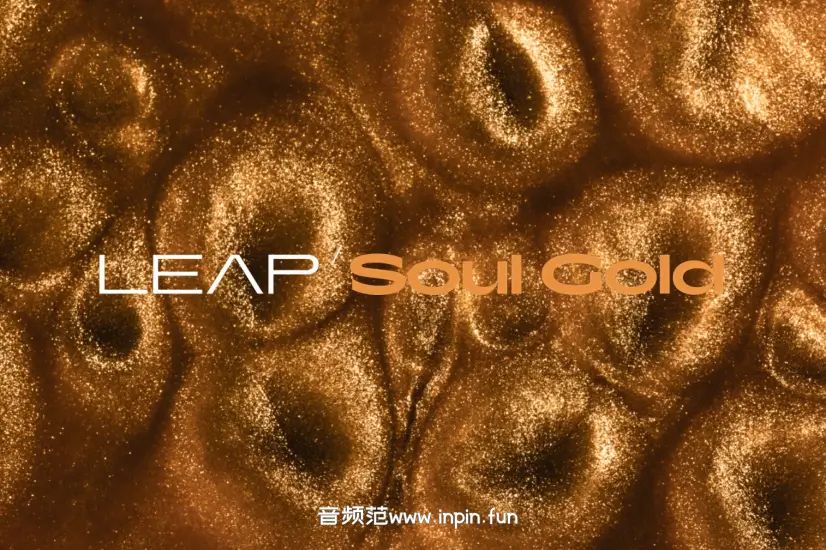 经典灵魂乐音源-Native Instruments Leap Soul Gold KONTAKT