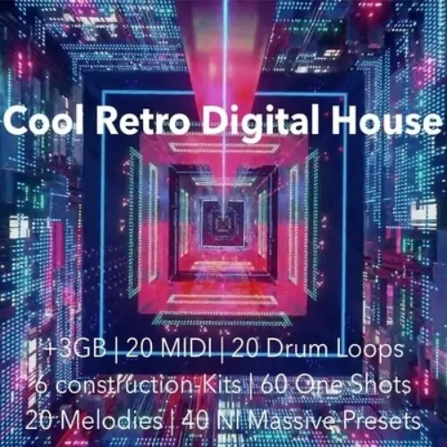 The Audio Bar Cool Retro Digital House WAV MiDi Massive Presets