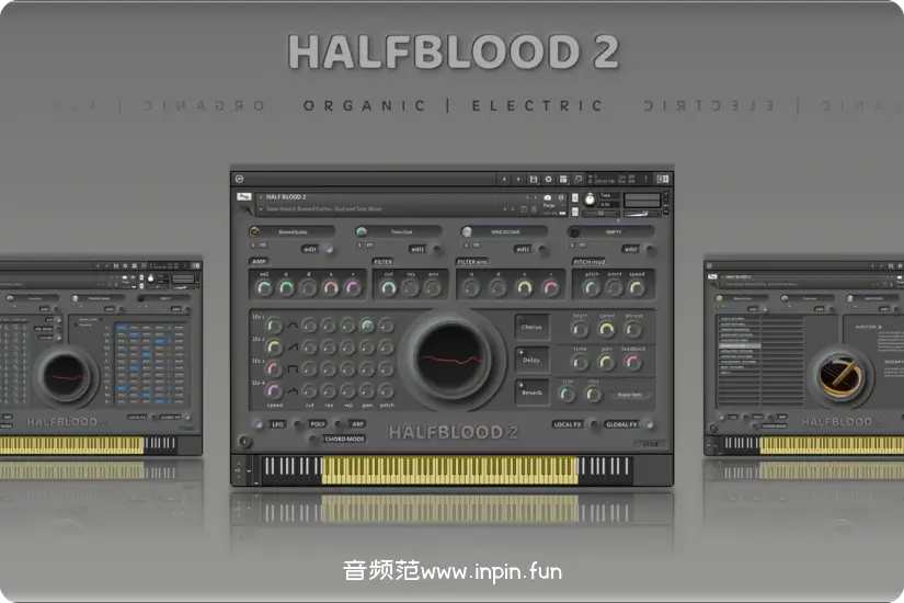 合成纹理-Insanity Samples HALFBLOOD 2 KONTAKT 1.5.0