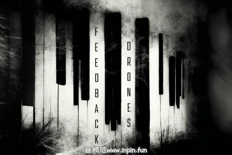 综合音源-Triumph Audio Feedback Drones KONTAKT