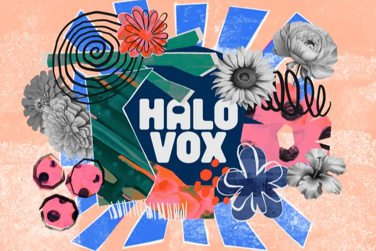 人声铺底-Native Instruments Halo Vox KONTAKT