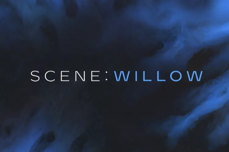 冬季飘渺氛围音色-Native Instruments Scene Willow KONTAKT