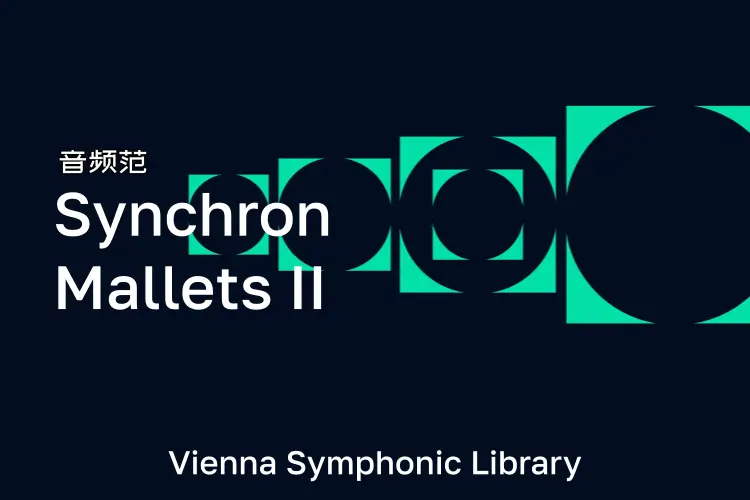 维也纳木槌-VSL Synchron Mallets II