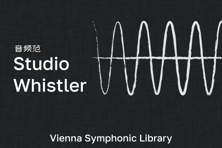 维也纳工作室口哨-VSL Studio Whistler
