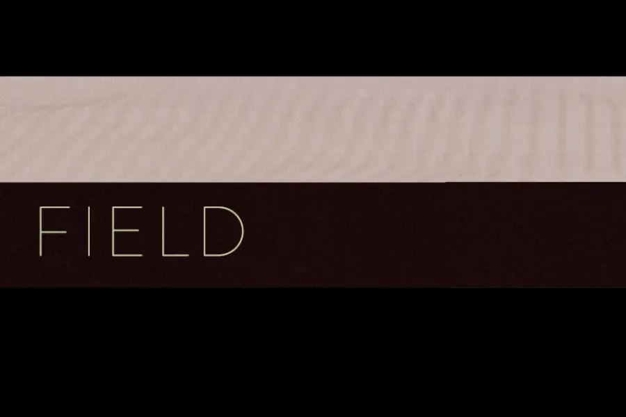 电磁电子氛围纹理音源-Cinematique Instruments Field KONTAKT