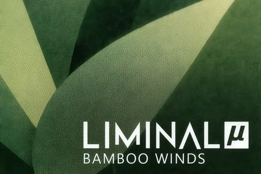 氛围竹笛-Crocus Soundware Liminal µ Bamboo Winds KONTAKT